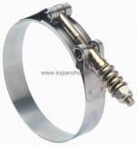 T Bolt  With Spring Hose Clamp W2